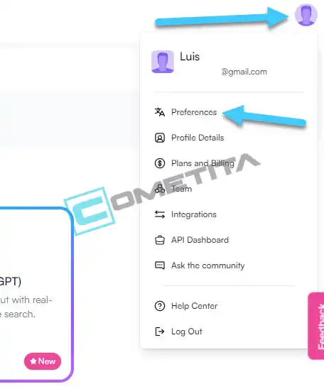 Pantalla que muestra la opción de configuración en Writesonic